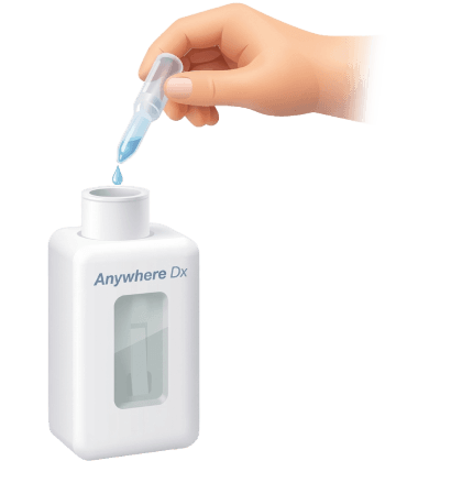 Insert the prepared sample into the device